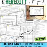 Printable Mad Libs Biologist Printable Mad Libs